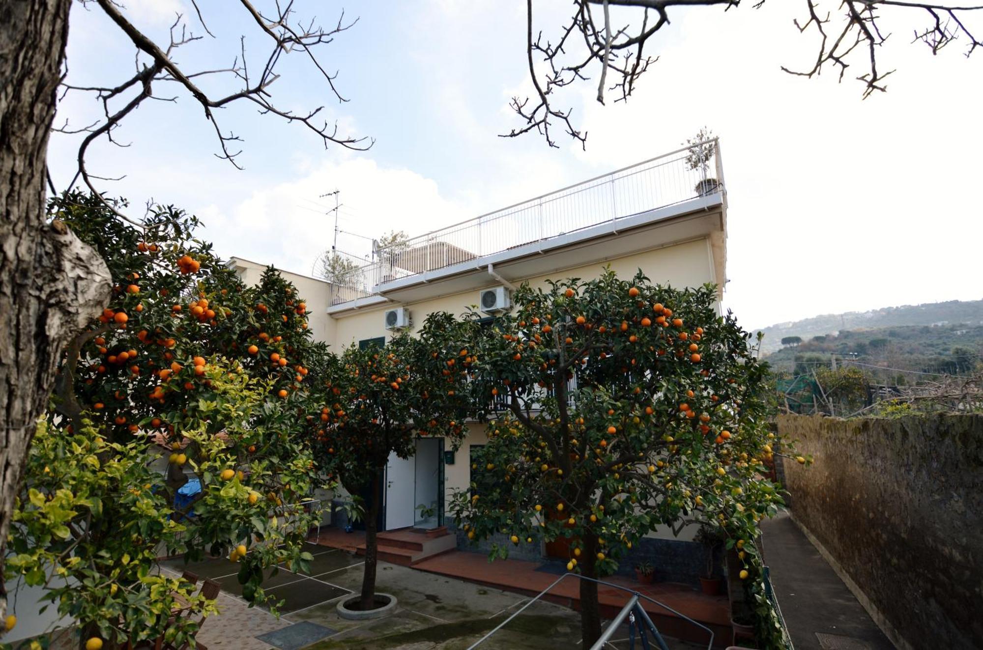 La Terrazza Family Holidays - Sorrento Coast Сант'Агнело Екстериор снимка