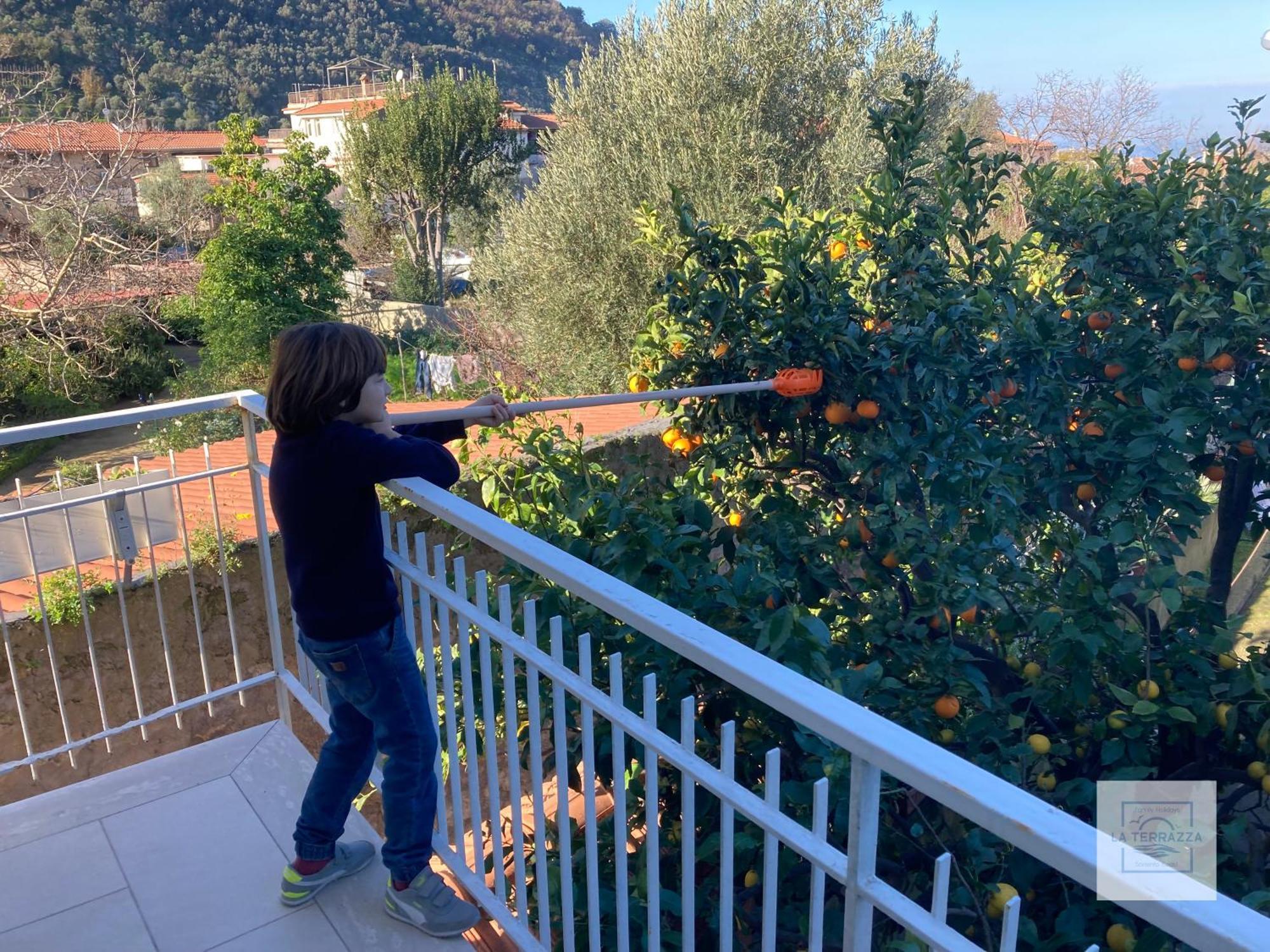 La Terrazza Family Holidays - Sorrento Coast Сант'Агнело Екстериор снимка